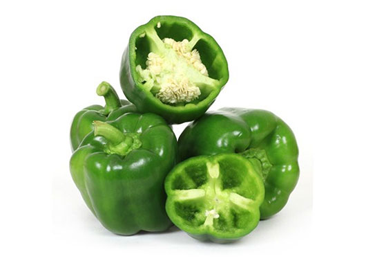 Capsicum