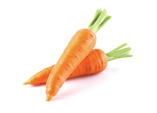 Carrot